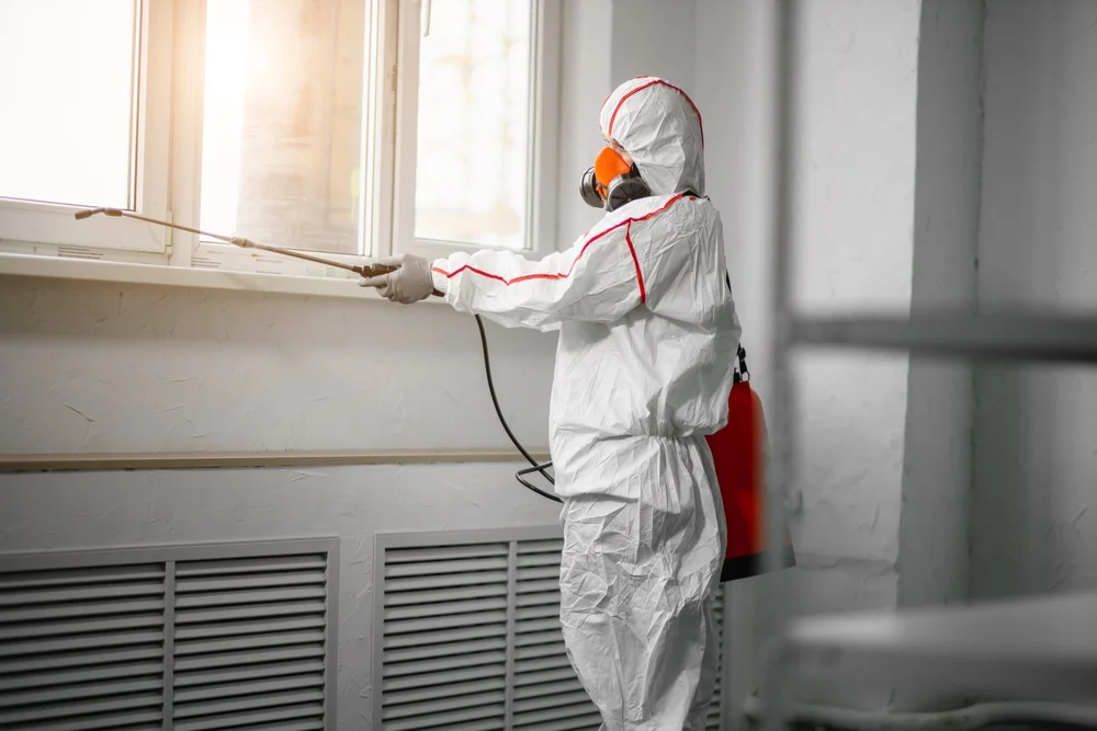 Professional mold remediation services in Ringwood, NJ